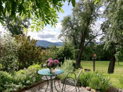 Blick in die Naturapotheke